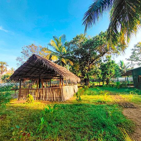 Wilpattu Green Cabin Achchamulai エクステリア 写真