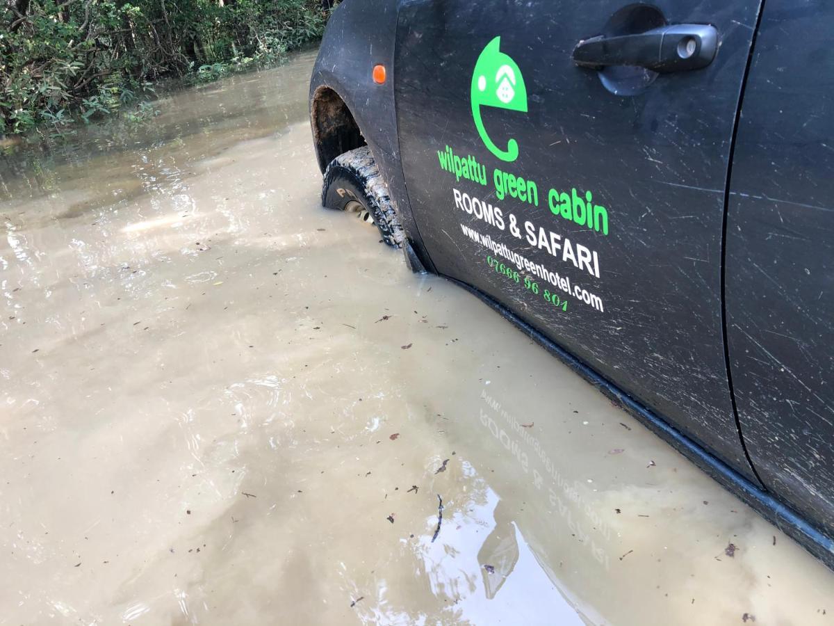 Wilpattu Green Cabin Achchamulai エクステリア 写真