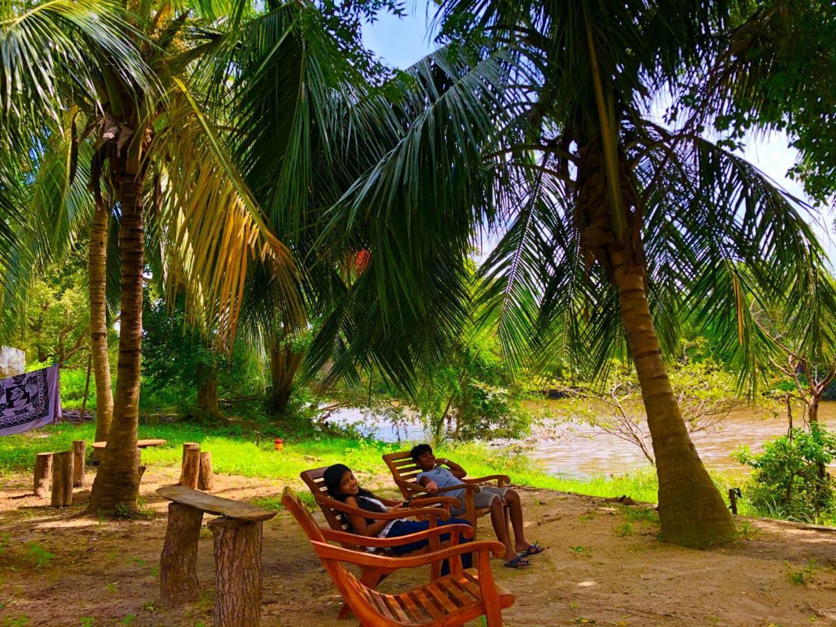 Wilpattu Green Cabin Achchamulai エクステリア 写真