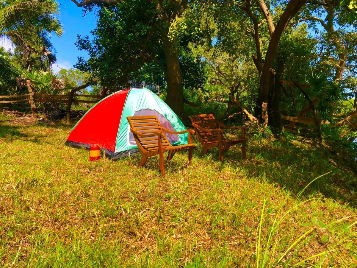 Wilpattu Green Cabin Achchamulai エクステリア 写真