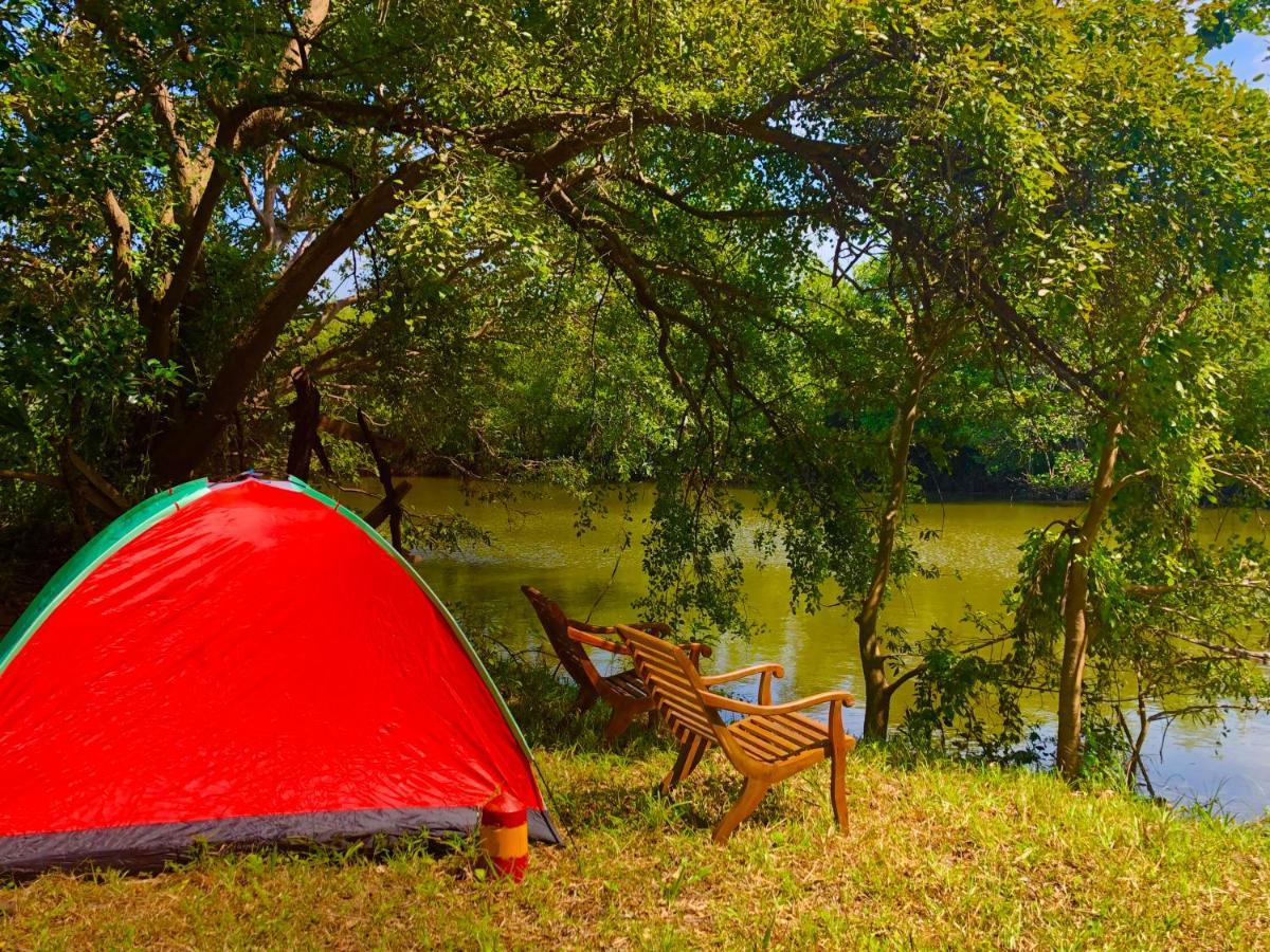 Wilpattu Green Cabin Achchamulai エクステリア 写真