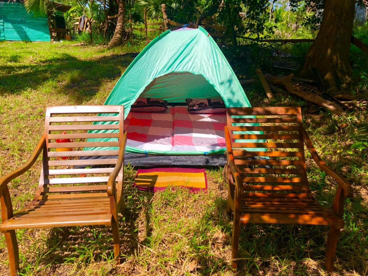 Wilpattu Green Cabin Achchamulai エクステリア 写真