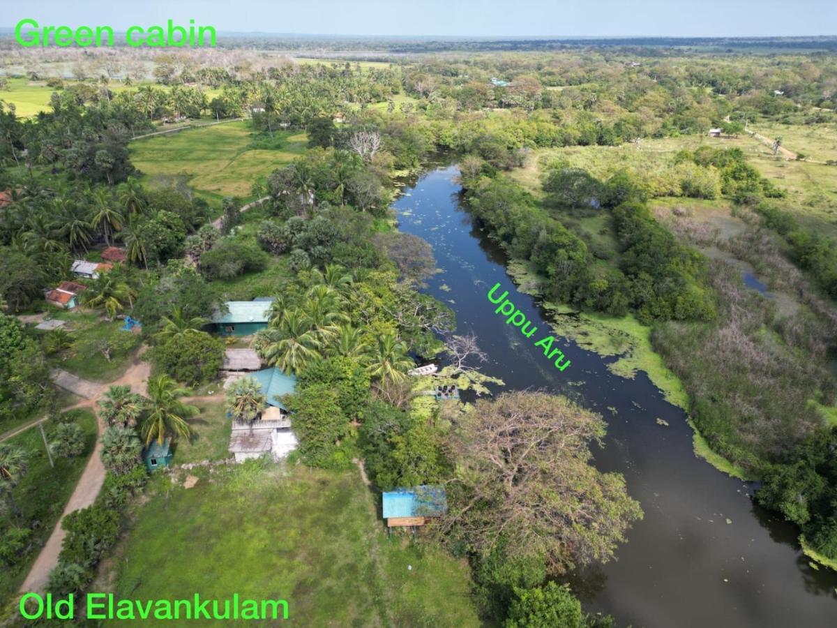Wilpattu Green Cabin Achchamulai エクステリア 写真