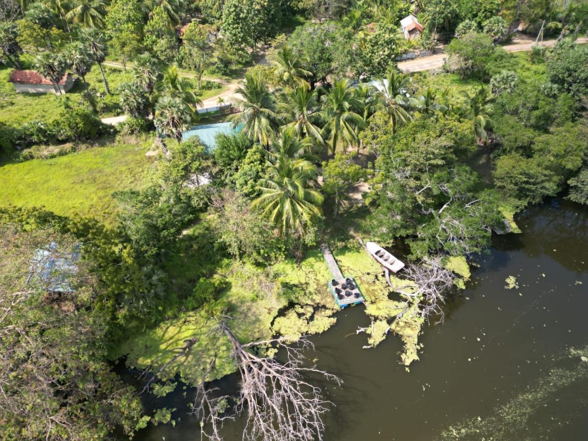 Wilpattu Green Cabin Achchamulai エクステリア 写真