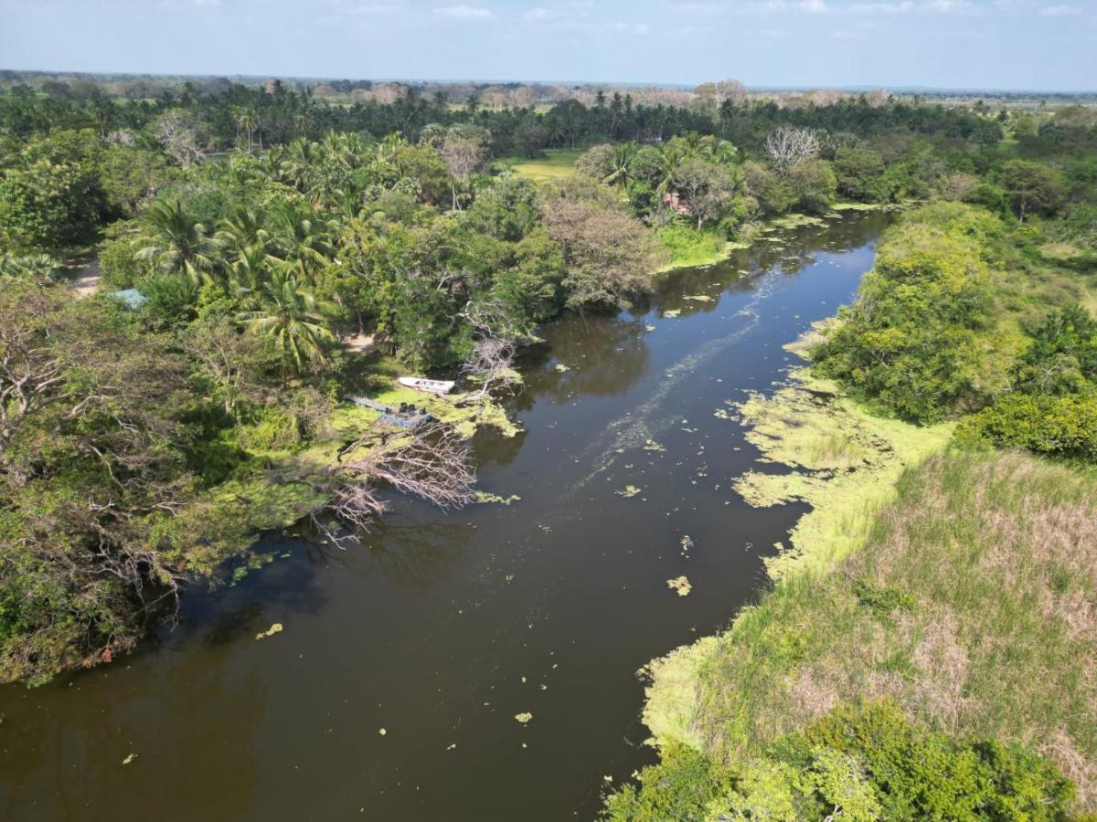 Wilpattu Green Cabin Achchamulai エクステリア 写真
