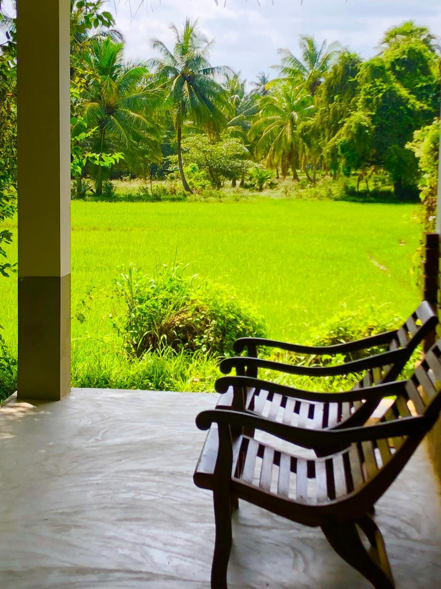 Wilpattu Green Cabin Achchamulai エクステリア 写真