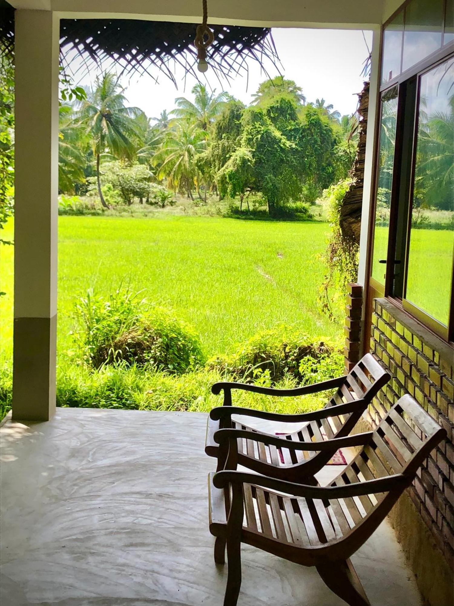 Wilpattu Green Cabin Achchamulai エクステリア 写真