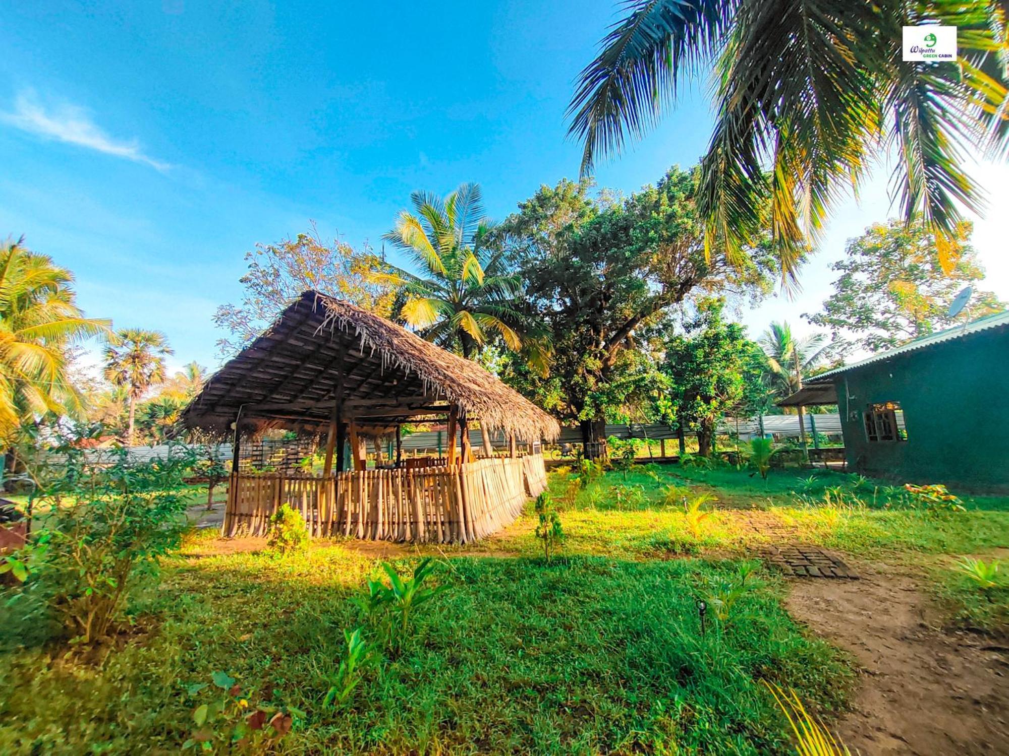 Wilpattu Green Cabin Achchamulai エクステリア 写真